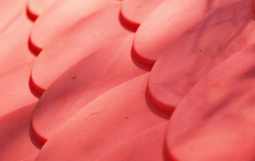 Badluarach plastic roof costs